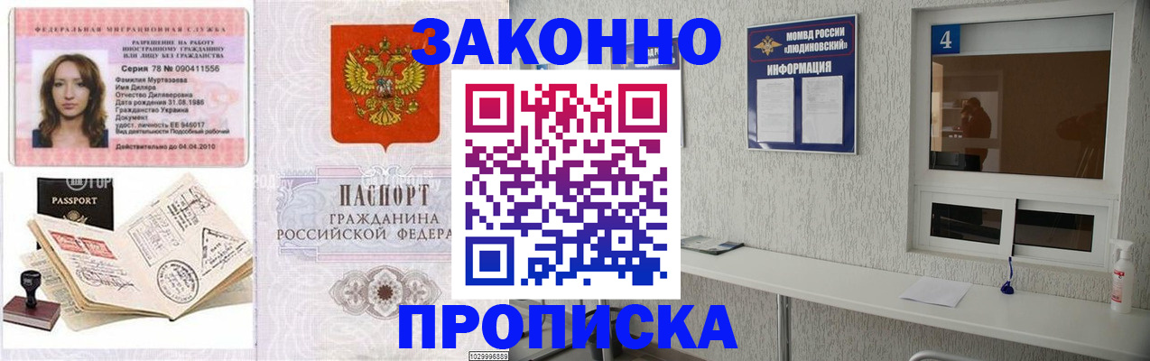 прописка в квартире в Фрязино
